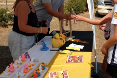 DSCF0110