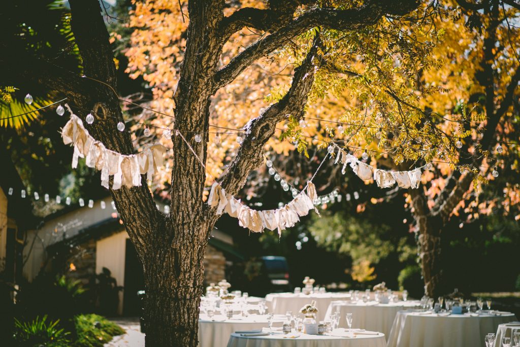 photo of garden for weddings at SPWK church, St. Andrew's Sutton Park and St. Peter's Wawne